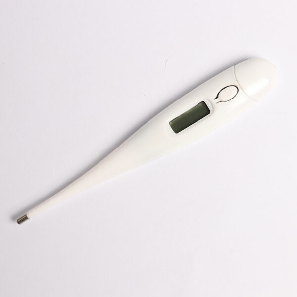 Electronic thermometer - Image 5