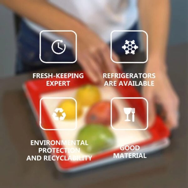 Creative Food Preservation Tray - Image 4